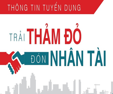 Thông Tin Tuyển Dụng Kinh Doanh, Trưởng Phòng Kinh Doanh VinaGroups